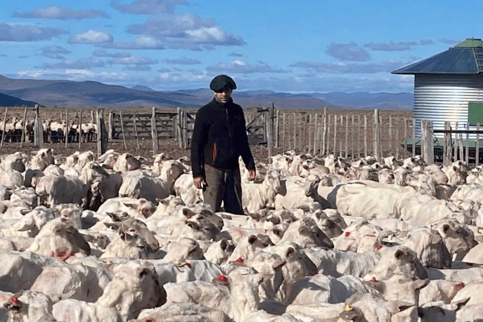 El joven veterinario que busca hacer escalar la ganadería al pie de la cordillera patagónica